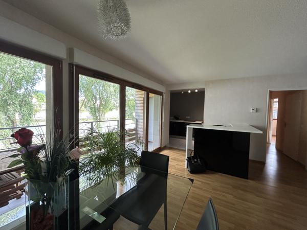 Nancy Meurthe Canal appartement T3 avec terrasse