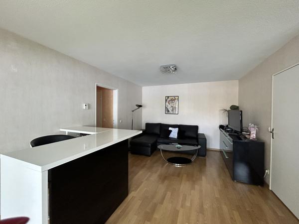 Nancy Meurthe Canal appartement T3 avec terrasse