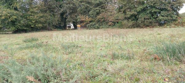 Terrain à construire de plus de 900 m², proche centre LA GACILLY