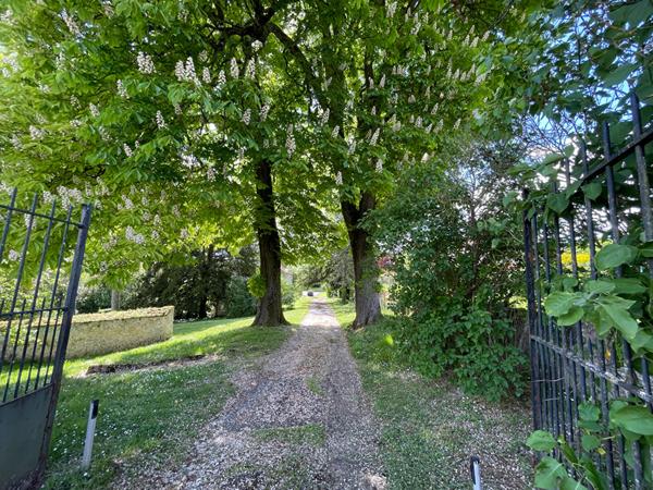 Propriete campagne Paris a1H20 sur  parc de deux hectares avec arbres majestueux