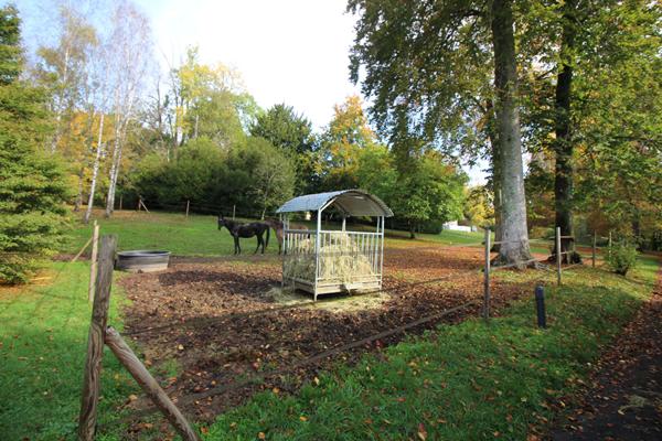 Propriete campagne Paris a1H20 sur  parc de deux hectares avec arbres majestueux