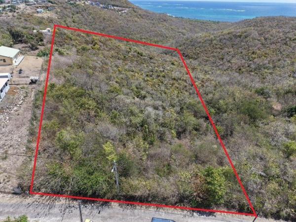 Terrain d’exception de 10 000 m² au Marin, offrant une vue mer imprenable, déjà viabilisé et idéalement situé à proximité du bourg et d’une plage accessible en 5 minutes : un cadre paisible, ventilé et sans vis-à-vis, entouré de villas avec piscine, parfait pour concrétiser votre projet de construction au cœur de la nature.