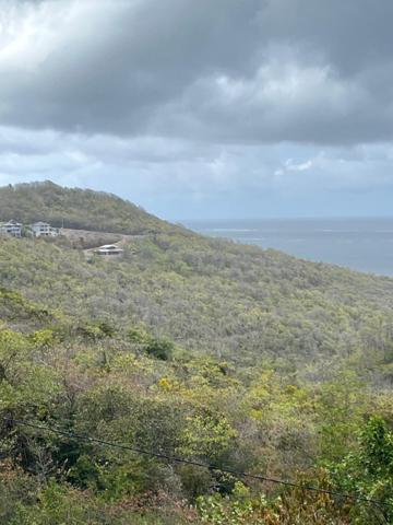 Terrain d’exception de 10 000 m² au Marin, offrant une vue mer imprenable, déjà viabilisé et idéalement situé à proximité du bourg et d’une plage accessible en 5 minutes : un cadre paisible, ventilé et sans vis-à-vis, entouré de villas avec piscine, parfait pour concrétiser votre projet de construction au cœur de la nature.