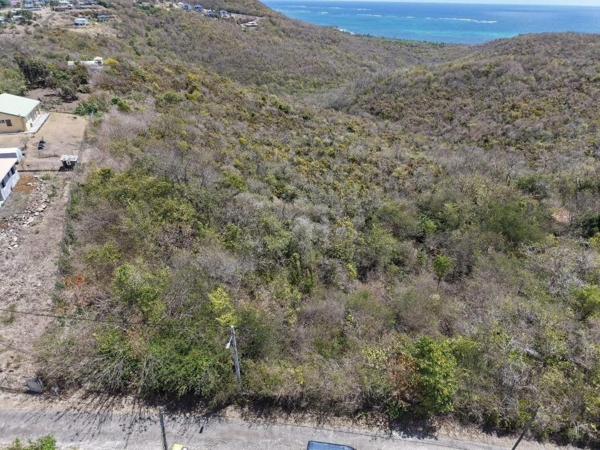 Terrain d’exception de 10 000 m² au Marin, offrant une vue mer imprenable, déjà viabilisé et idéalement situé à proximité du bourg et d’une plage accessible en 5 minutes : un cadre paisible, ventilé et sans vis-à-vis, entouré de villas avec piscine, parfait pour concrétiser votre projet de construction au cœur de la nature.