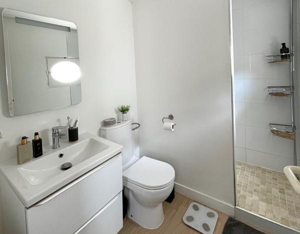 CENTRE VILLE – SECTEUR JARDIN DES PLANTES