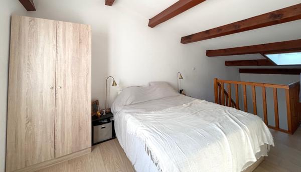 CENTRE VILLE – SECTEUR JARDIN DES PLANTES