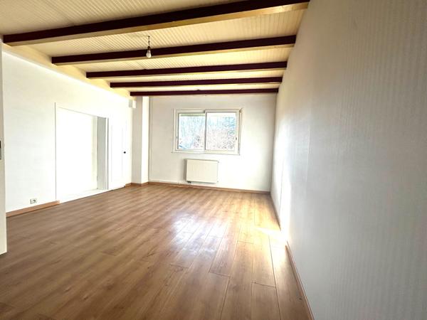47300 VILLENEUVE SUR LOT A Villeneuve/Lot, belle maison en pierre d'environ 164 m²