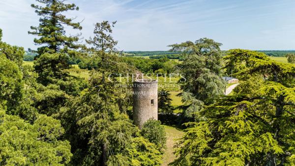 Magnifique Girondine du XVIIIe siècle, 5 hectares de terrain et piscine
