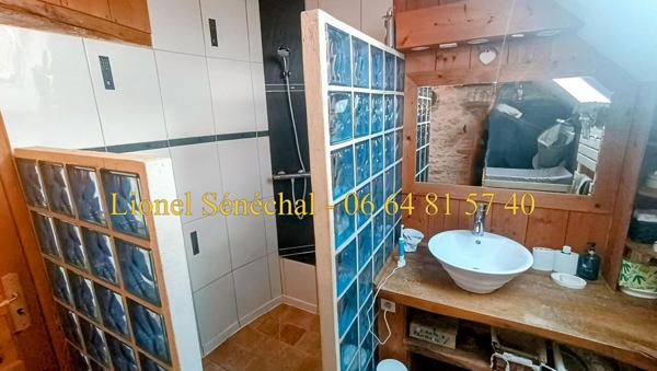 Demeure de prestige rénovée et peu énergivore de 240 m2 habitables avec sa piscine chauffée et ses superbes dépendances sur une une parcelle de plus de 3 500 m2 à proximité des Alpes Mancelles