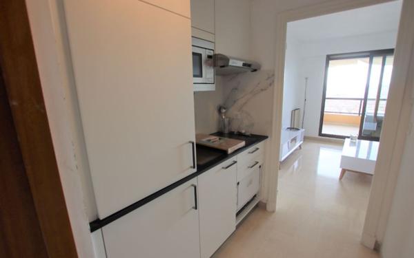 Appartement à louer    1 pièce •  Nice