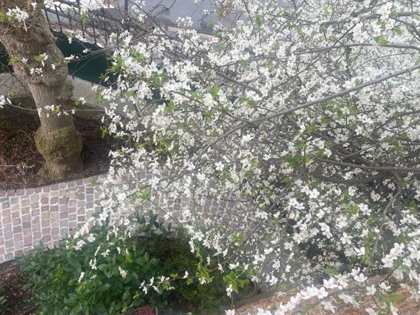 Maison 8 pièces - 180 m²