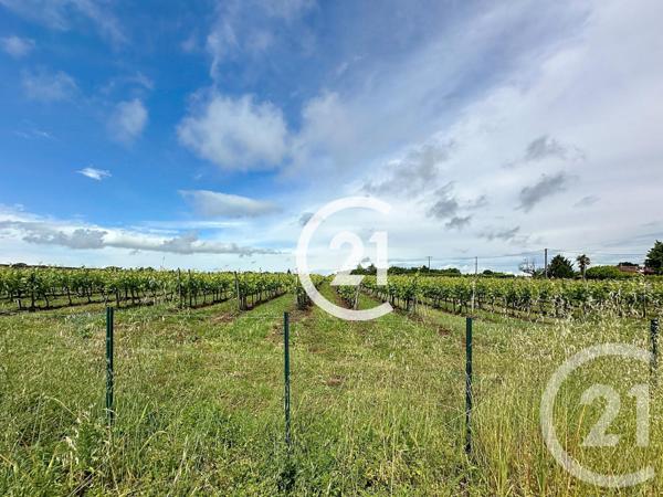 Maison à vendre  5 pièces - 140 m2 BOUTIERS ST TROJAN - 16