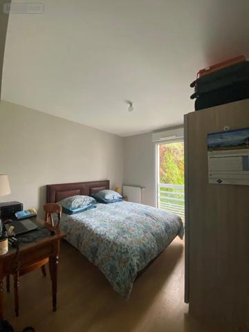 Location - Appartement Angers 49100 3 pièces 58 m 2