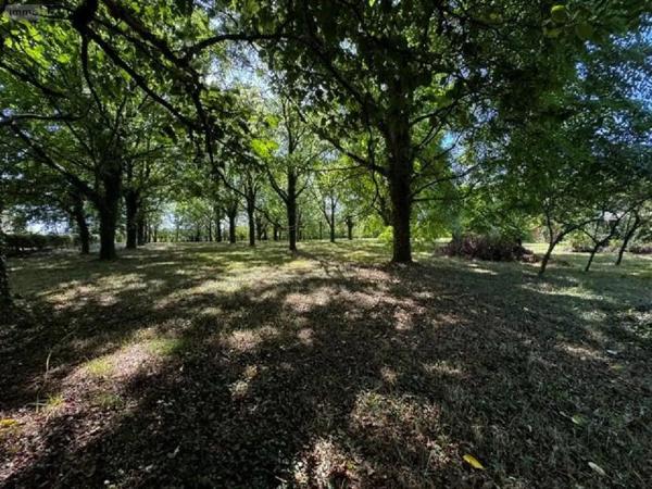 Achat - Maison Janzé 35150 3 pièces 41 m 2 6820 m 2