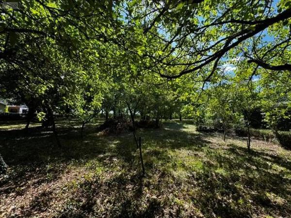 Achat - Maison Janzé 35150 3 pièces 41 m 2 6820 m 2