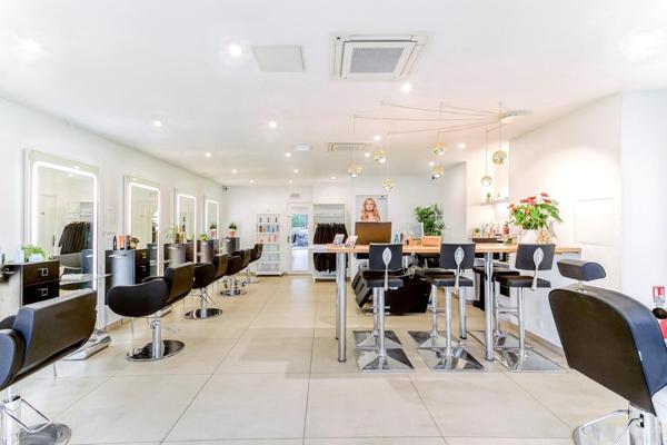 OPPORTUNITÉ RARE – IDÉAL PROFESSIONNEL OU INVESTISSEUR