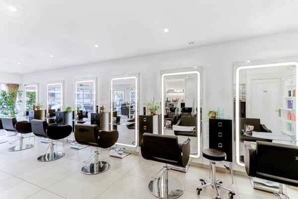 OPPORTUNITÉ RARE – IDÉAL PROFESSIONNEL OU INVESTISSEUR