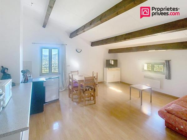 Maison Le Vigan 15 pièce(s) 410 m2