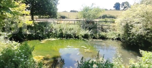 Crèvecoeur en Auge - Maison Normande en colombages 