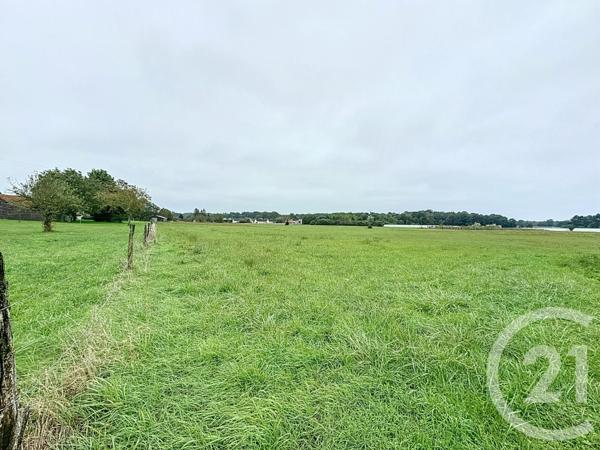 Terrain à vendre  37628 m2 CHATILLON SUR CHER - 41