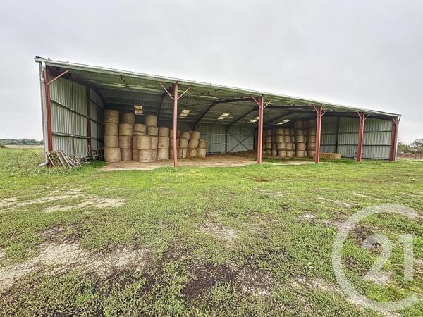 Terrain à vendre  37628 m2 CHATILLON SUR CHER - 41