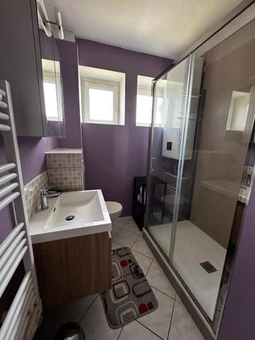 Joli F3 Bd Saint Symphorien