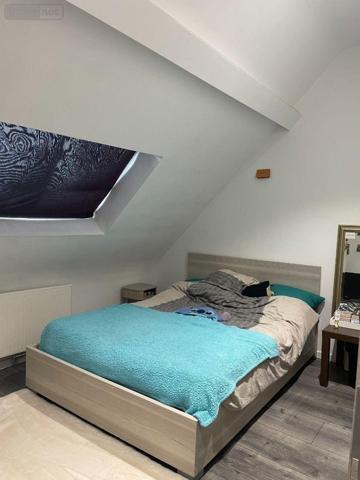 Local mixte (Pro/Hab) à vendre à Bailleul dans le Nord (59270), ref : F30376