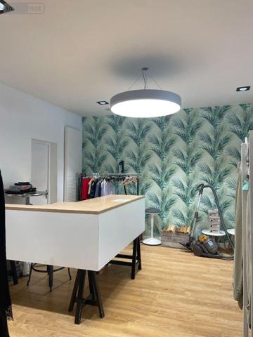 Local mixte (Pro/Hab) à vendre à Bailleul dans le Nord (59270), ref : F30376