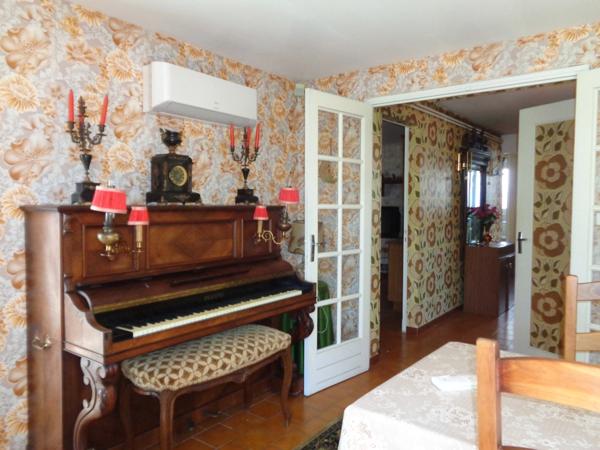 Maison à vendre SAUJON (17) 12 pièces 210m2 parcelle 700m2(deux habitations possibles)