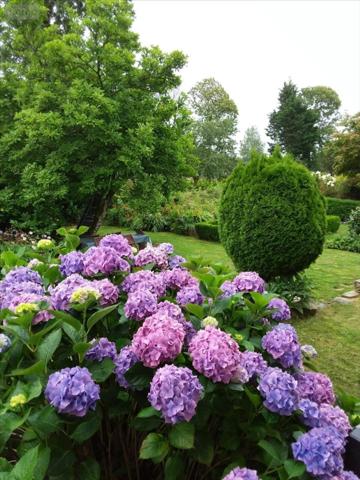 Maison à vendre à Le Saint dans le Morbihan (56110), ref : 29066-1056495