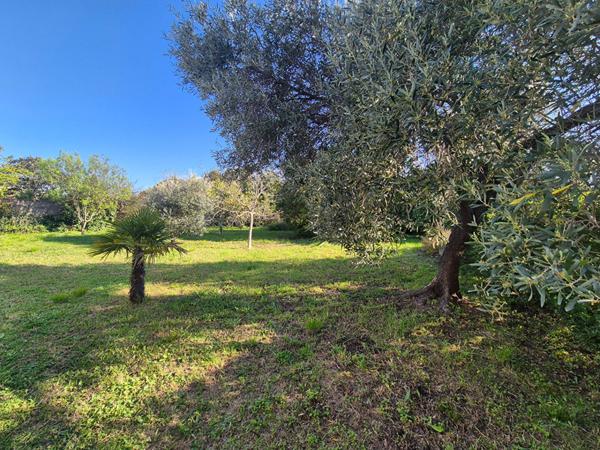 Maison Biguglia 8 pièce(s) 174 m2 terrain 1262 m²