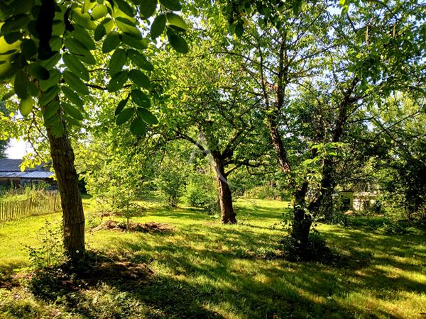 Maison Champagnolles 3 chambres terrain 5197 m²