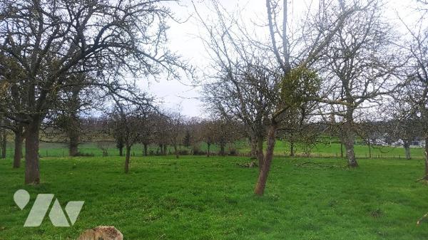 Terrain à bâtir de 2 317 m² non viabilisé sur la commune de VIESSOIX.
