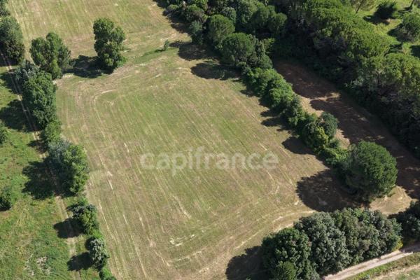Parcelle agricole 5 m² - SOMMIERES (GARD)