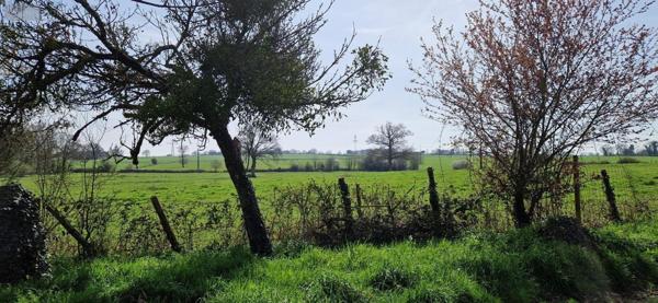 Maison à vendre à Noyal-sur-Vilaine en Ille-et-Vilaine (35530), ref : 019/5411 MCB