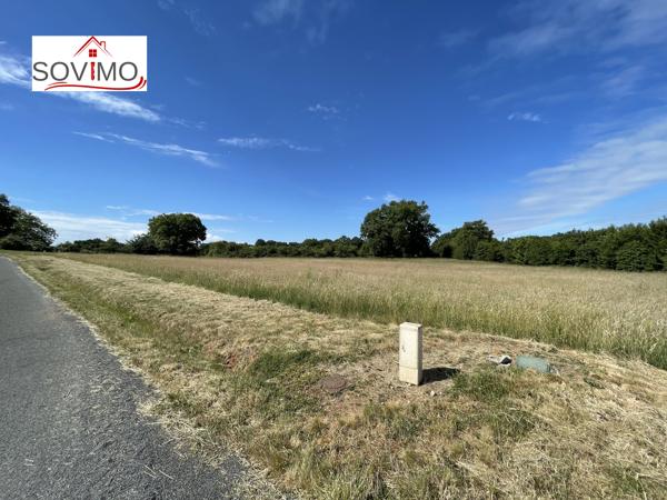 DANS UN LOTISSEMENT DE CAMPAGNE, 5 TERRAINS À BATIR VIABILISÉS