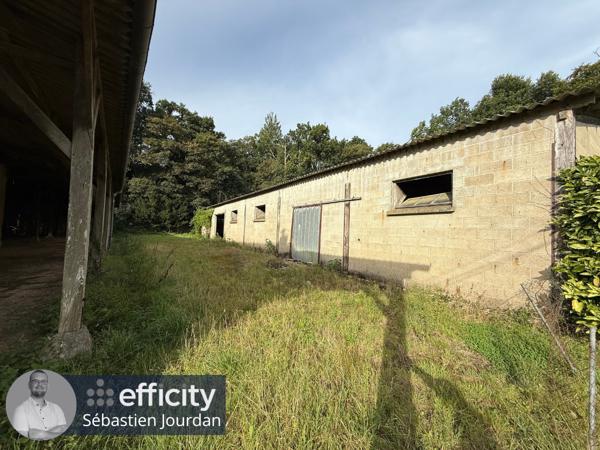 Maison 5 pièces - 113 m²