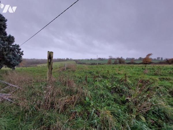 A VENDRE-MAISON EN CAMPAGNE A COSSE LE VIVIEN
