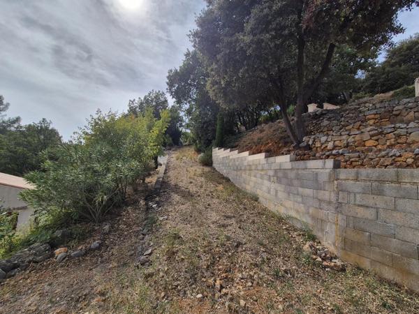 Vente                                                      Terrain
                        
                                         1229 m2                     à Le Luc