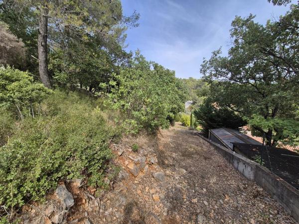 Vente                                                      Terrain
                        
                                         1229 m2                     à Le Luc