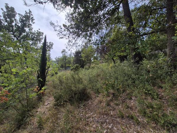 Vente                                                      Terrain
                        
                                         1229 m2                     à Le Luc