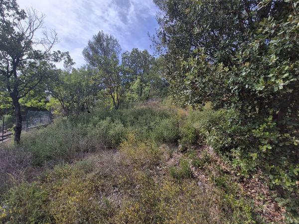 Vente                                                      Terrain
                        
                                         1229 m2                     à Le Luc