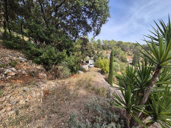 Vente                                                      Terrain
                        
                                         1229 m2                     à Le Luc