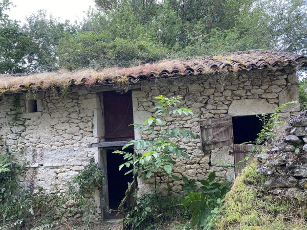Rare opportunité de rénovation - Maison en pierre traditionnelle, dépendances et 1 hectare de terrain