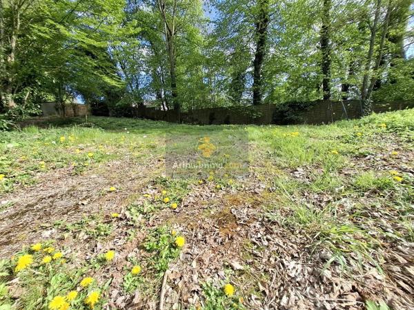 Vente                                                      Terrain
                        
                                         954 m2                     à Coulommiers
