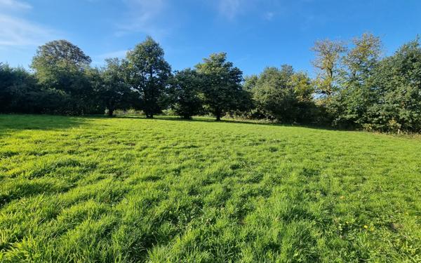 Maison à vendre    6 pièces • 220 m2 Saint-Priest-Ligoure