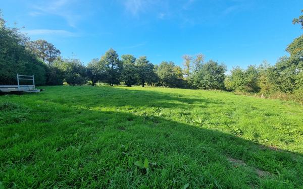 Maison à vendre    6 pièces • 220 m2 Saint-Priest-Ligoure