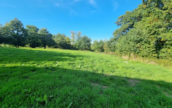 Maison à vendre    6 pièces • 220 m2 Saint-Priest-Ligoure