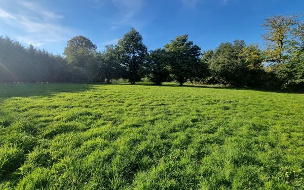 Maison à vendre    6 pièces • 220 m2 Saint-Priest-Ligoure