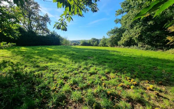 Maison à vendre    6 pièces • 220 m2 Saint-Priest-Ligoure